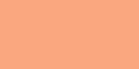 Apricot -Zipper Invisible 22"