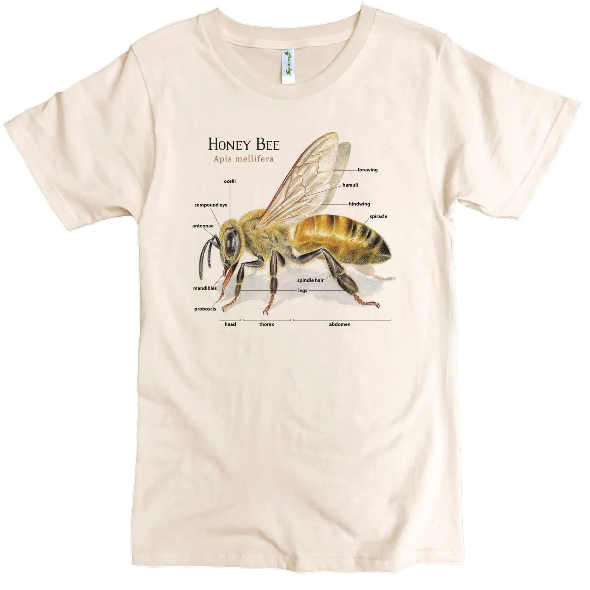 Bee Anatomy Graphic Tee